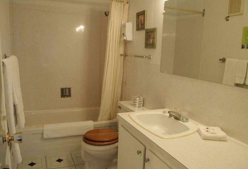 غرفه قياسيه سريرين مزدوجين, Motel Lyse