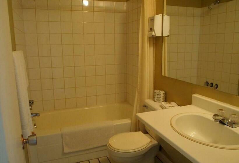 غرفة قياسية, Motel Lyse