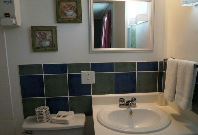 غرفه قياسيه سريرين مزدوجين, Motel Lyse