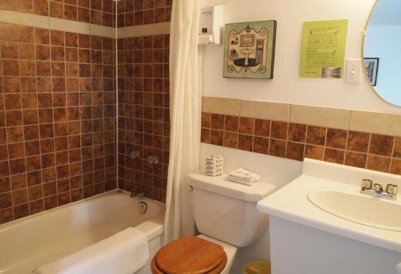 غرفه قياسيه سريرين مزدوجين, Motel Lyse