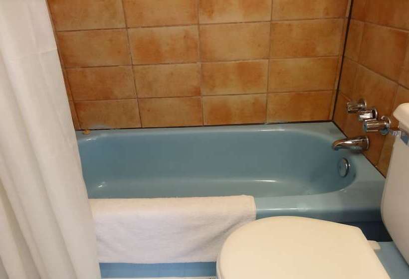 غرفه قياسيه سريرين مزدوجين, Motel Lyse