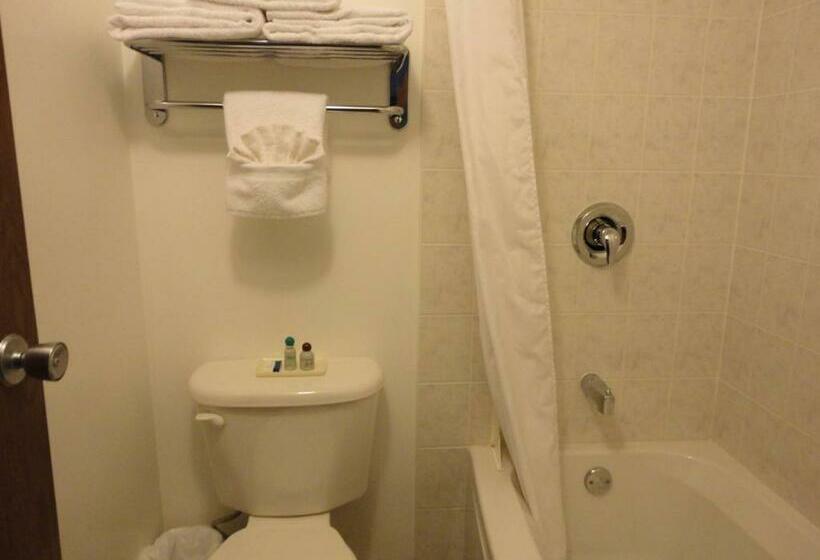 标准间, South Hill Motor Inn