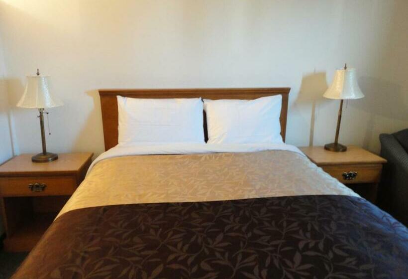 标准间, South Hill Motor Inn