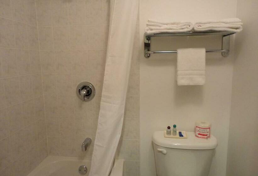 标准间, South Hill Motor Inn