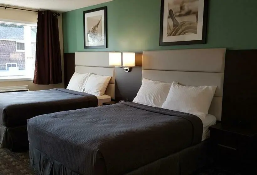 Deluxe-huone, Wellington Inn