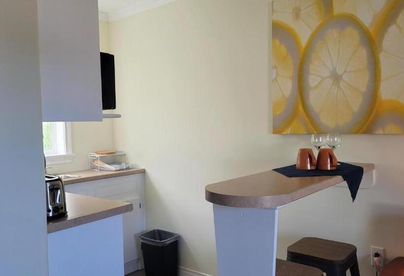 آپارتمان 1 خوابه, Novastar Motel On The Lake