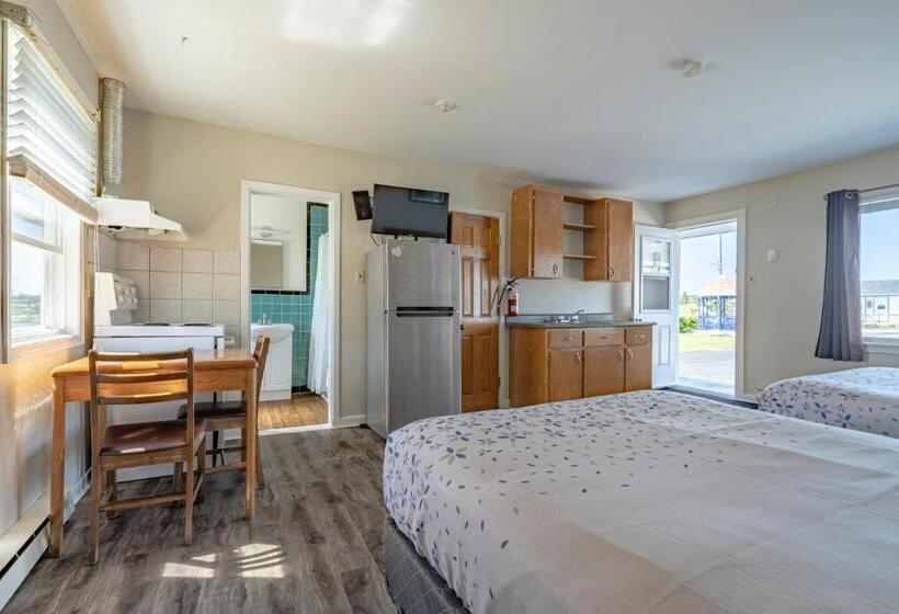 اتاق استاندارد با آشپزخانه, Novastar Motel On The Lake