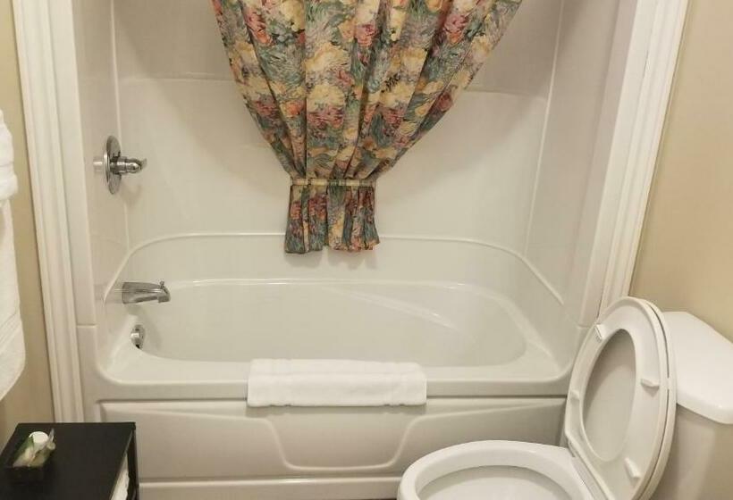 스탠다드 룸 킹사이즈 침대, Rothesay Motel