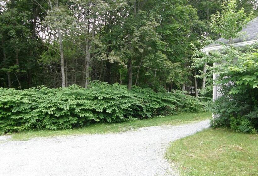 침실 2개 디럭스 아파트, Rothesay Motel