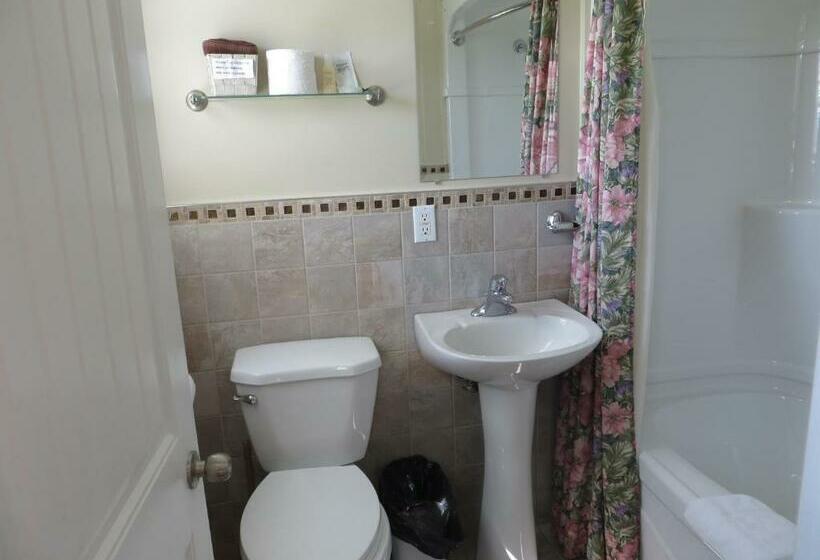 غرفة قياسية, Scenic Motel Moncton