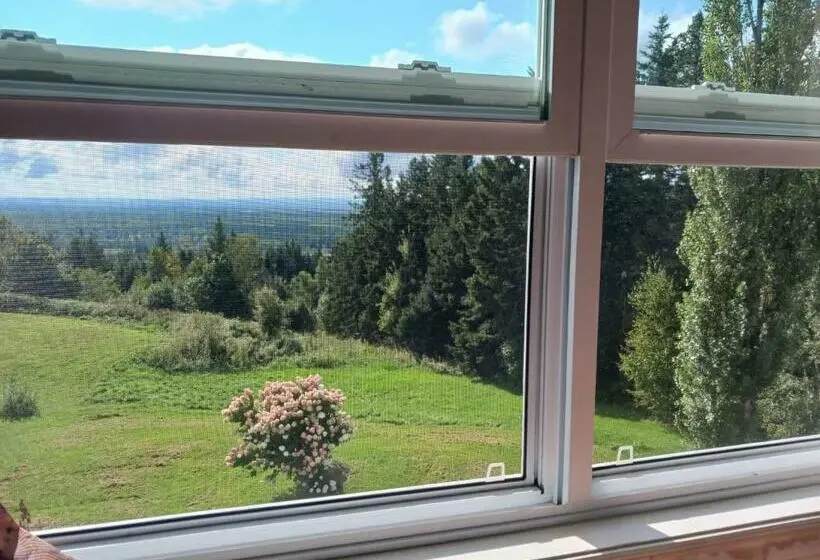 اتاق استاندارد چهار تخته, Scenic Motel Moncton