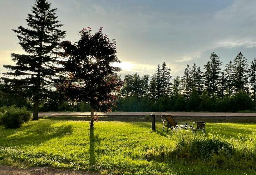 غرفة قياسية, Scenic Motel Moncton