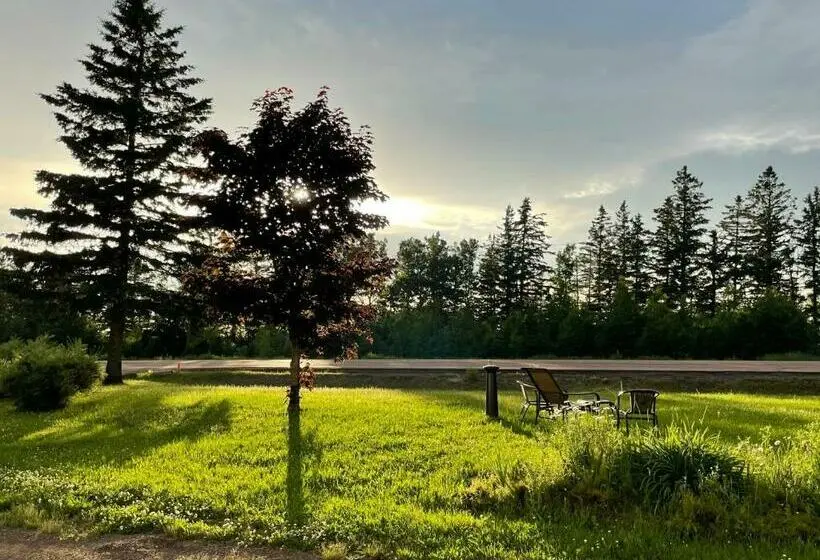 اتاق استاندارد, Scenic Motel Moncton
