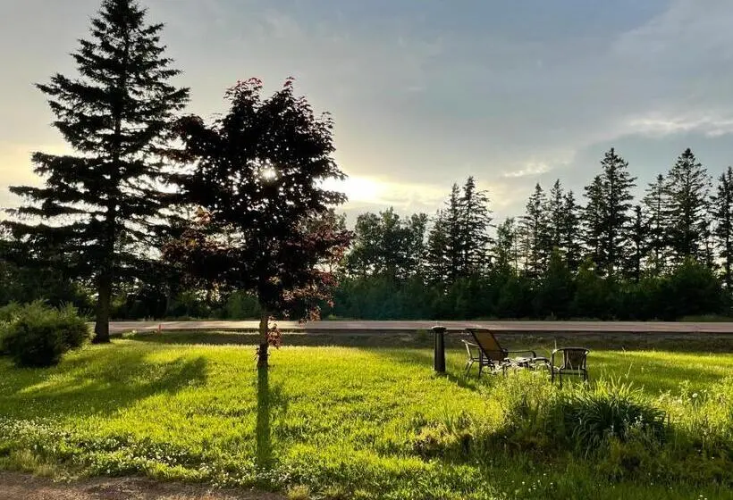 اتاق استاندارد چهار تخته, Scenic Motel Moncton