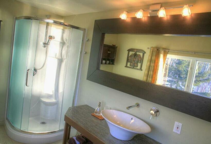 Стандартный Номер Кровать Кинг, Auberge Des Eaux Vives