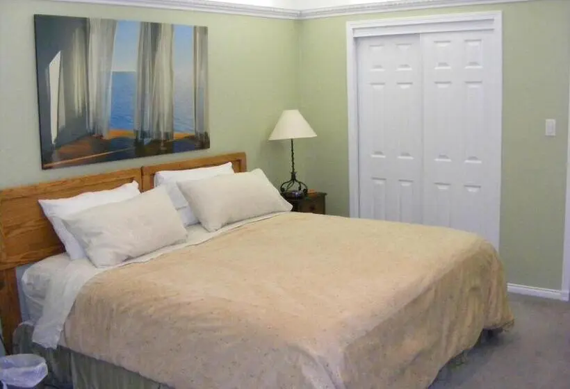 Standard-huone King-vuode, Hummingbird Guesthouse