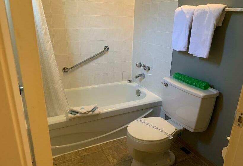 חדר סטנדרט עם מיטת קינג, City Centre Motel Older Building