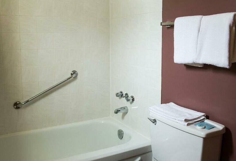 חדר סטנדרט, City Centre Motel Older Building