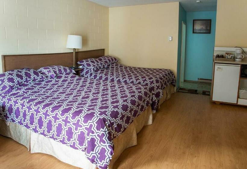 חדר סטנדרט, City Centre Motel Older Building