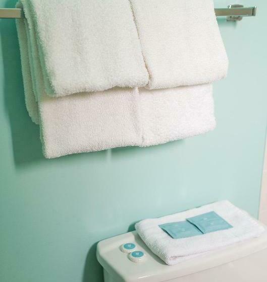 חדר סטנדרט, City Centre Motel Older Building