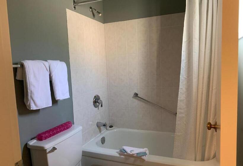 חדר סטנדרט, City Centre Motel Older Building