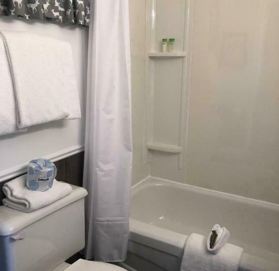 غرفة قياسية, Dwight Village Motel