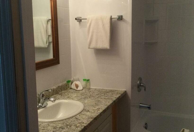 غرفة قياسية, Dwight Village Motel