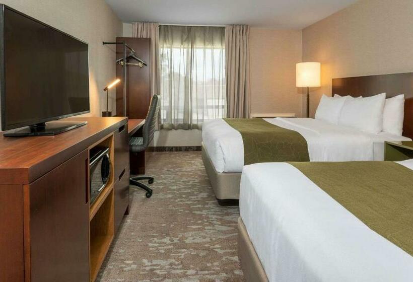 غرفه قياسيه سريرين مزدوجين, Comfort Inn