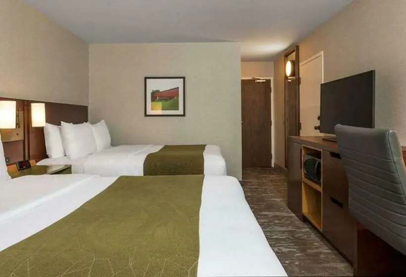 Standard-huone 2 Parivuodetta, Comfort Inn