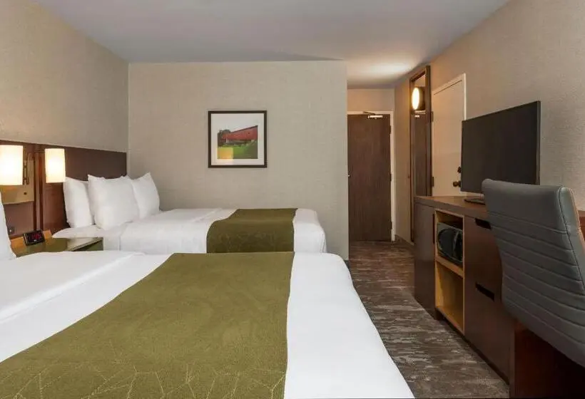 Standard-huone, Comfort Inn