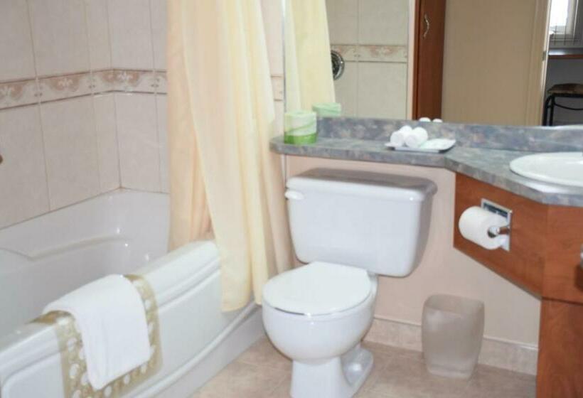 Quarto Executivo, Plante