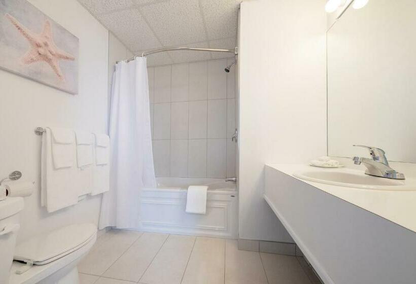 غرفة تنفيذية, Plante