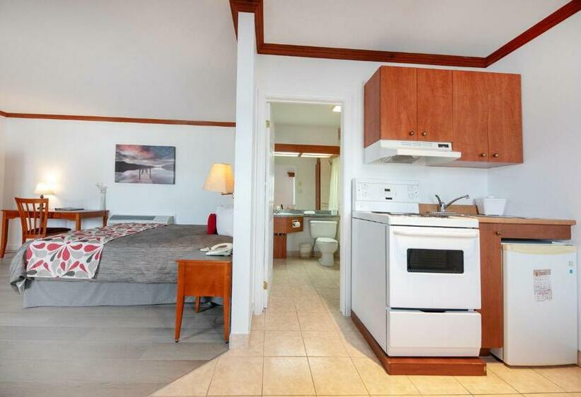 غرفة تنفيذية, Plante