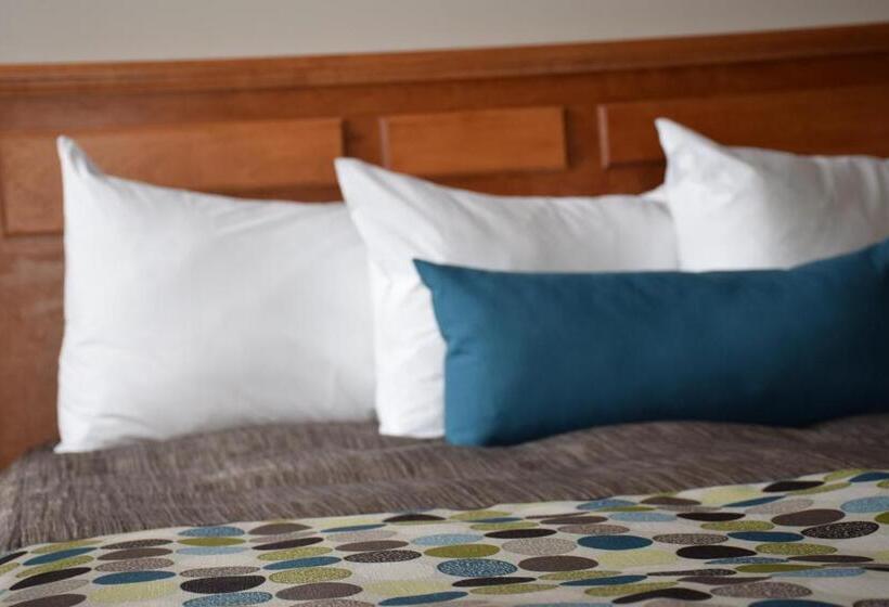 إستوديو ديلوكس, Plante