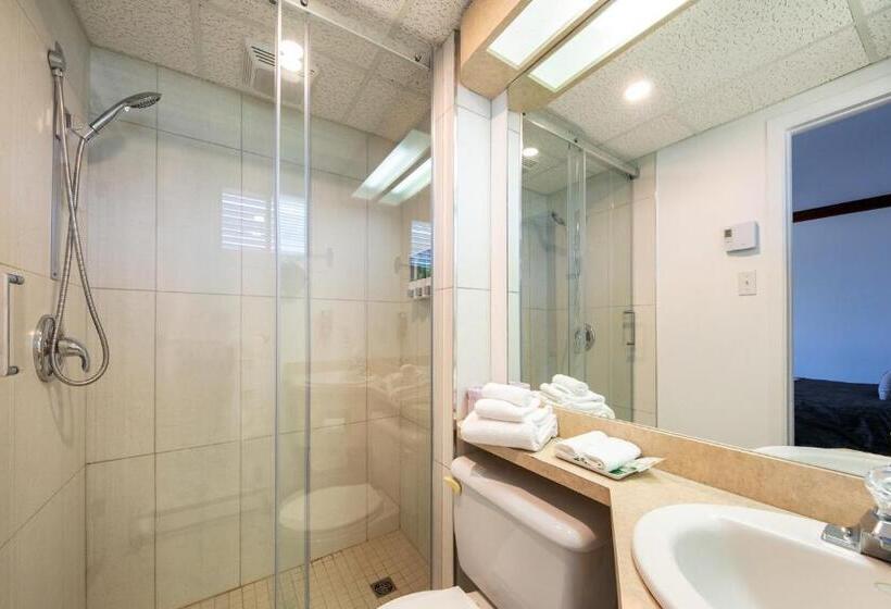Quarto Deluxe, Plante