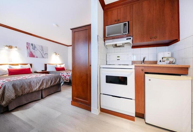Quarto Estandar, Plante