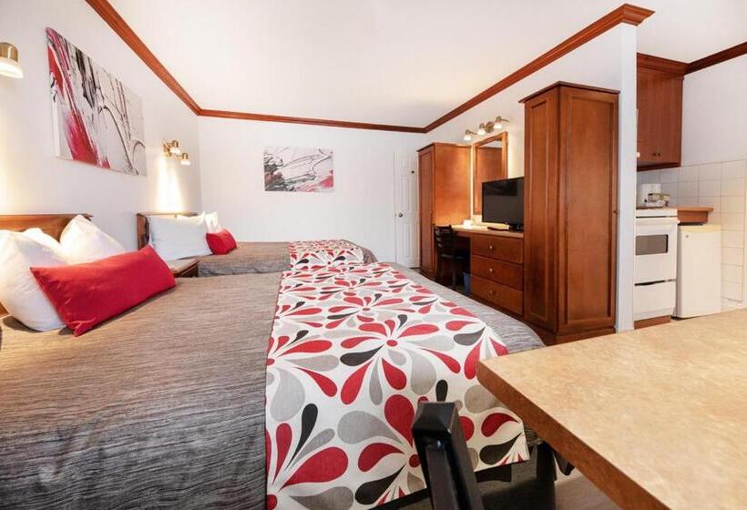 غرفة قياسية, Plante