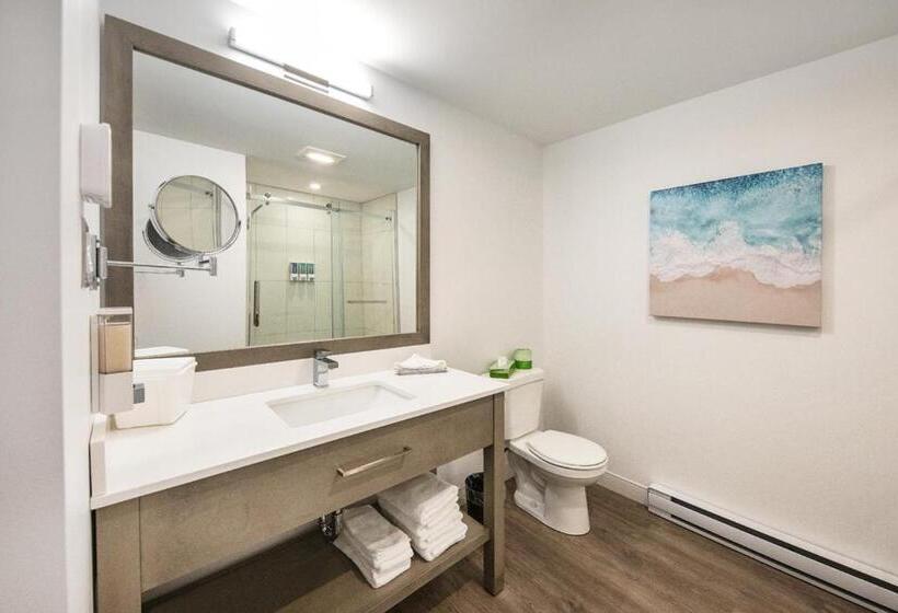 غرفة قياسية بالطابق الأرضى, Plante