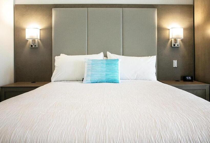 غرفة قياسية بالطابق الأرضى, Plante