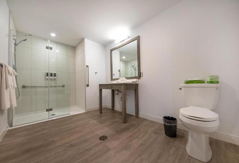 Quarto Estandar Cama King para Deficientes Físicos, Plante