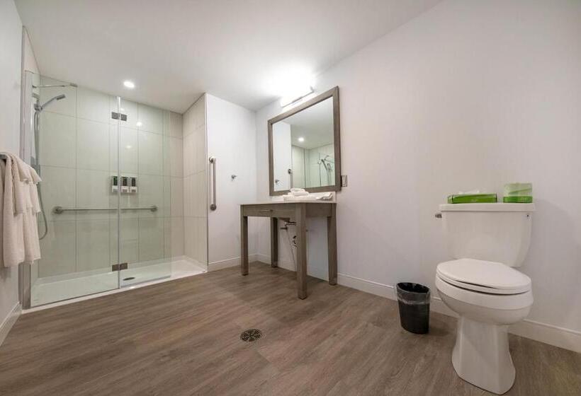 غرفة قياسية سرير كينج لذوى الإحتياجات الخاصة, Plante