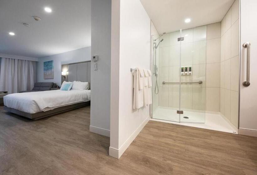 غرفة قياسية سرير كينج لذوى الإحتياجات الخاصة, Plante