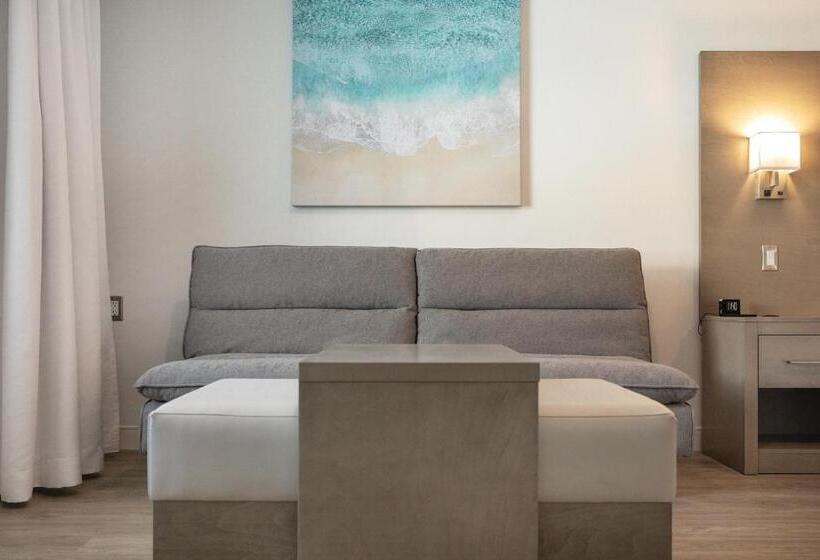 غرفة قياسية سرير كينج لذوى الإحتياجات الخاصة, Plante