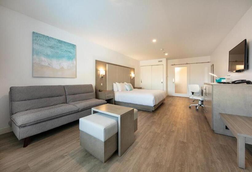 غرفة قياسية سرير كينج لذوى الإحتياجات الخاصة, Plante