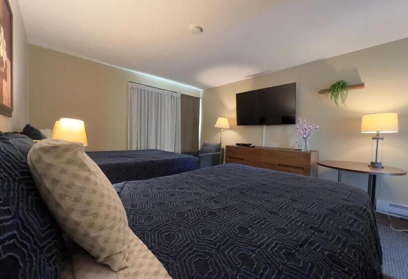 高级大房间, Monashee Motel