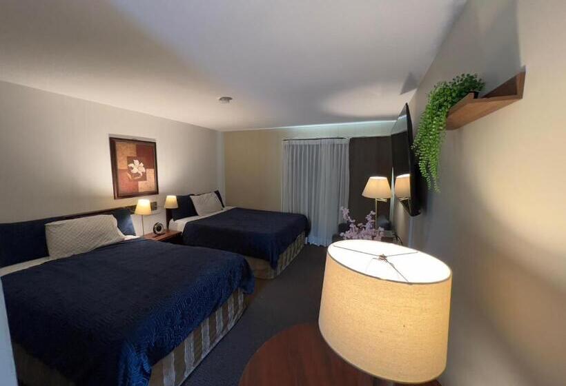 Номер Superior, Monashee Motel