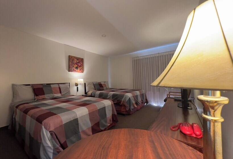 豪华房间, Monashee Motel