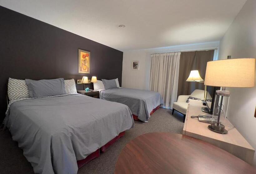 高级大房间, Monashee Motel