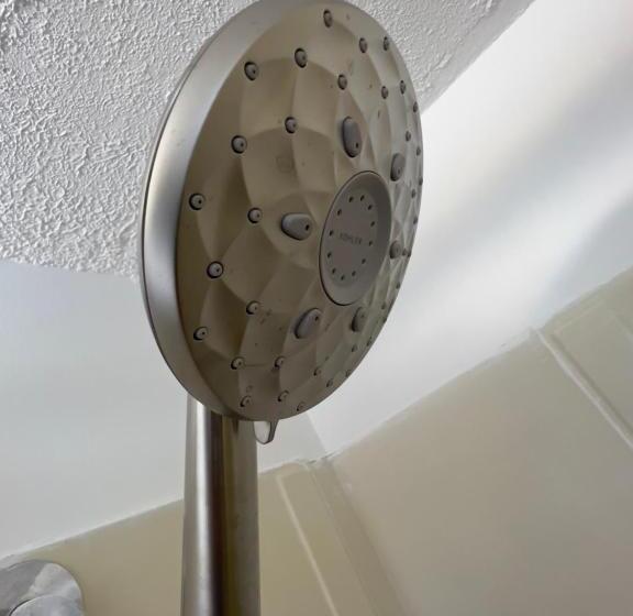 高级大房间, Monashee Motel