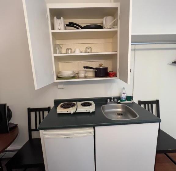 高级大房间, Monashee Motel